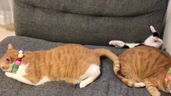 آه! لقد علقت!