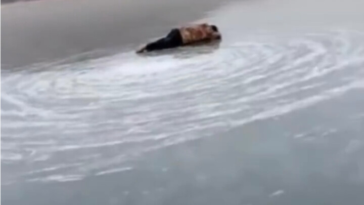 ملك اليامن: شيء ما لمع لحظة! أخمن أن الأخ الأكبر كان مرتعبًا للغاية في تلك اللحظة!!!