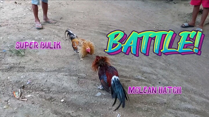 Super Bulik VS Mclean Hatch. Spar!      JRP GAMEYARD