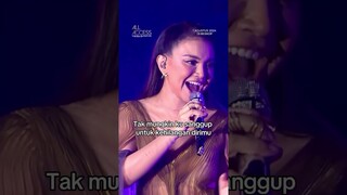 Rossa - Tega | ALL ACCESS to Rossa 25 Shining Years