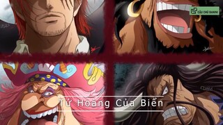 Cậu chủ Banini - Review -  Nhiệm Vụ Cuối Cùng Của Băng Hải Tặc Roger Là Gì #anime #schooltime