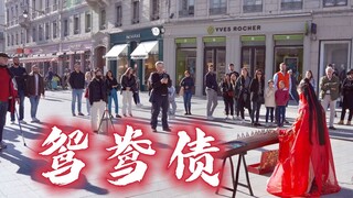 【古筝高能｜鸳鸯债】“天边的太阳升起了 我的太阳却落下