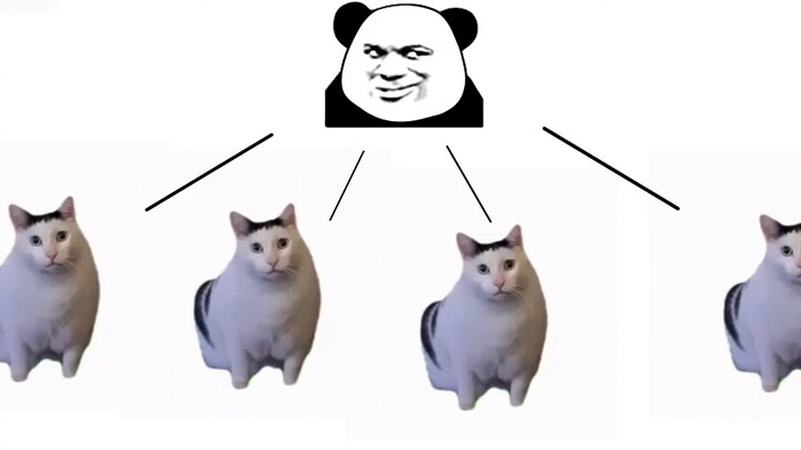 บทวิจารณ์ความสามารถของสแตนด์ที่แฟน ๆ สร้างขึ้น: "ความคิดสับสน"