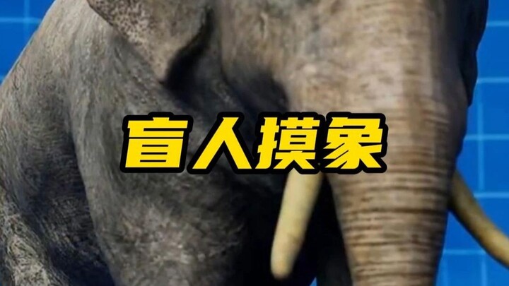 The Story of Blind Men and an Elephant