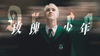【HP|Draco】我生来带刺，却也自由盛放
