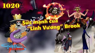 [One Piece 1020]. Sức mạnh của “Linh Vương” Brook! Nhóm Number tham chiến!