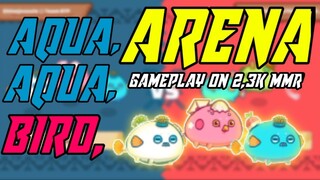 AAP (AQUA,AQUA,BIRD) 19MINUTES ARENA GAMEPLAY ON 2,3K+ MMR AXIE INFINITY