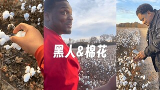 当黑人经过一片棉花地 😅