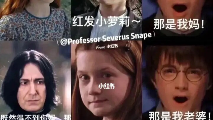 哈迷的快乐你不懂之HP梗图#22（不笑可白嫖，笑了请一键三连）