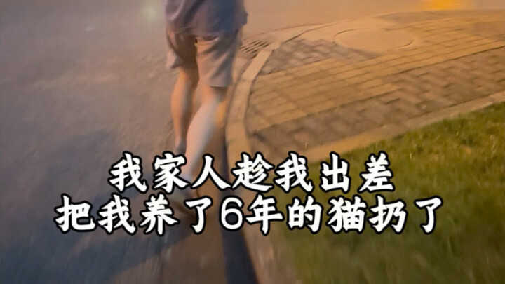 Keluarga saya membuang kucing saya. Kejadian nyata, tanpa skenario apapun, tanggal Agustus 2025.