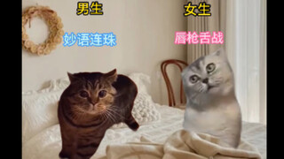 猫猫情侣不同时期吵架的区别