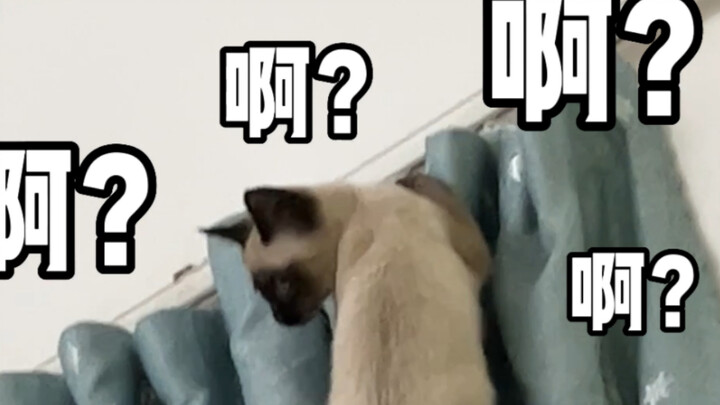 What are you doing～～Aaaah～Ouch～