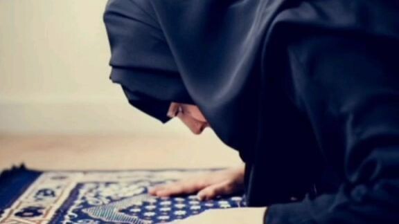 ام درع السيد هاشم صفي الدين