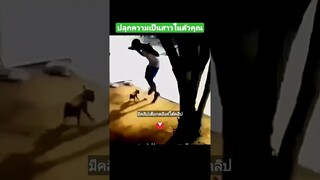 ปลุกความเป็นสาวในตัวคุณ