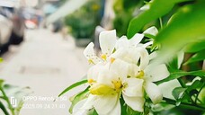 poe karen သာယူဏ်ု (2026)