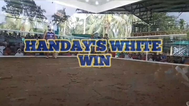 HANDAY'S WHITE WIN