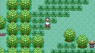 Pokemon Theta Emerald (GBA) from Oldale Town to Petalburg. My Boy! emulator.