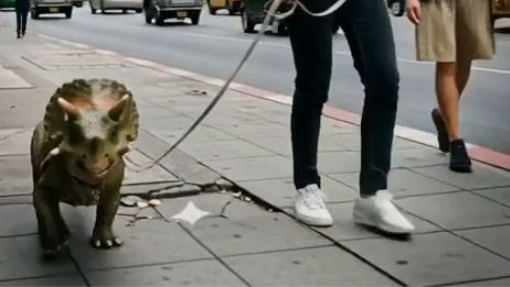 จูงไดโนเสา