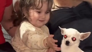 Human cubs teasing cats, two cute creatures, so adorable...