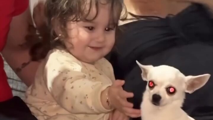 Human cubs teasing cats, two cute creatures, so adorable...