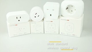 Factory directly sale kinds of tuya smart life Wifi smart plug