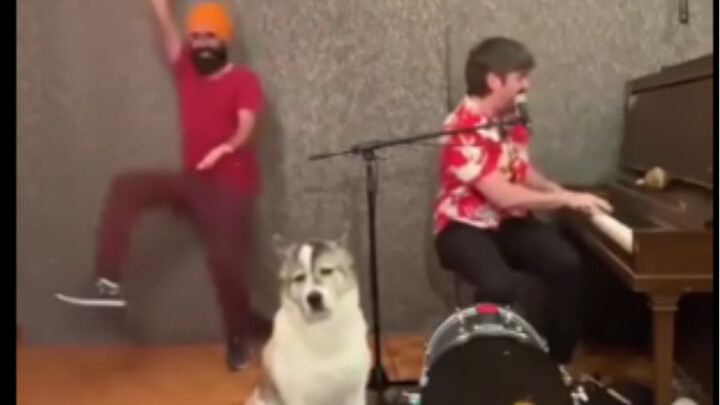 Every Night, My Neighbors…