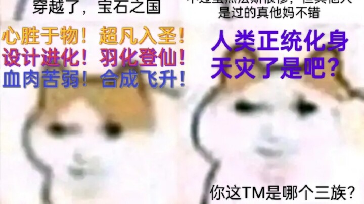 猫龙多元宇宙•无限飞升