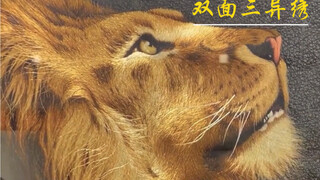 在一块绣面上，正反两面都有绣，但两面图案、针法、色调都不同，异针、异稿、异色，故名《双面三异绣》
