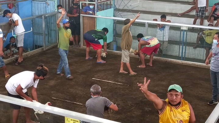 boss manok...entry name kobe&jm. tulatula arena.