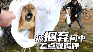 【老疯杨】爷爷当着孙儿的面淹死小狗