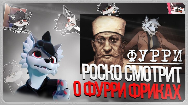 🐺 Роско смотрит Andrboll - Д/ф "Я познал фурри, так что вам не придется" 🙈