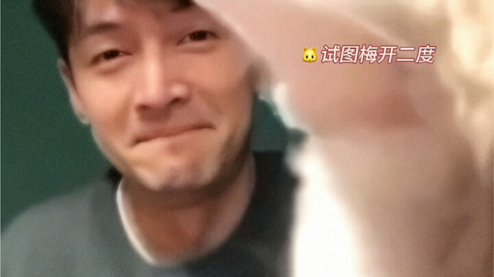 Why don’t you switch to a cat for your livestream, Hu Ge?
