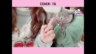 [Vietsub - Cover] TA (和声伴奏版) | Ổ nhỏ của Hoài