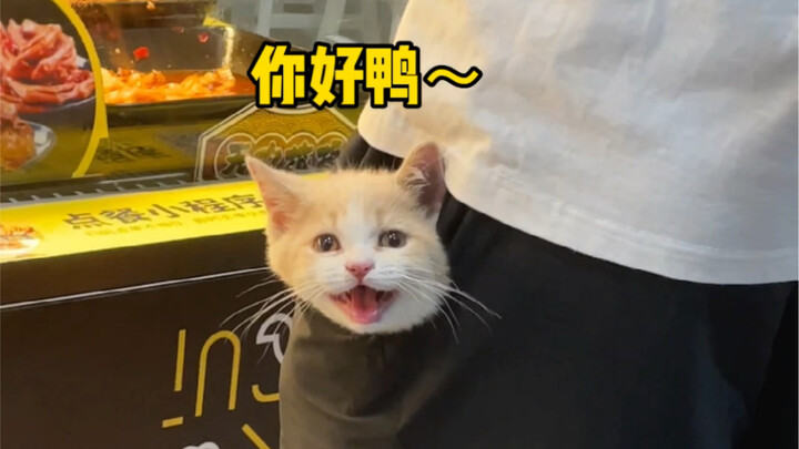 This cute little kitten wouldn't poop in there, would it?