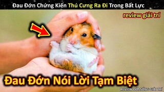 Đau Lòng Chứng Kiến Pet Cưng Ra Đi Nhưng Bản Thân Đành Bất Lực || Review Giải Trí Đời Sống