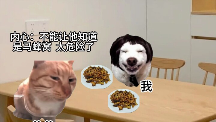 Aren't bee pupae usually found in dry toilets?