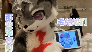 漫画/动漫里的毛绒绒们！你知道TA们嘛？