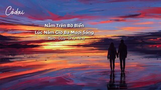 [Vietsub + Pinyin] Nằm Trên Bờ Biển Lúc Năm Giờ Ba Mươi Sáng (躺在凌晨五点半的海岸) - Mèo Của Chủ Nhà