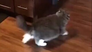 Don’t you know how much you weigh?