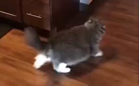 Don’t you know how much you weigh?