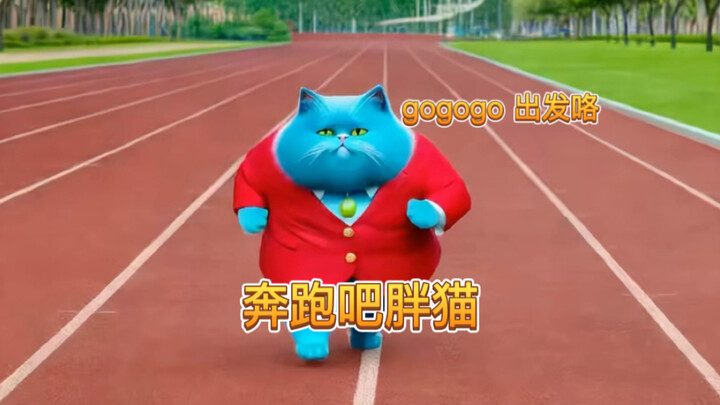gogogo 出发咯（胖猫版）