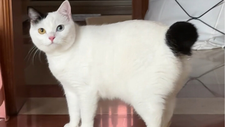 If you love a perky butt, you’re in luck!