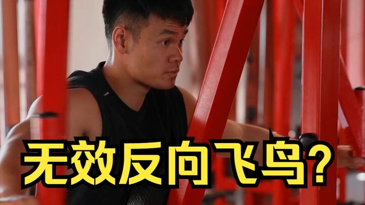 هل أقوم بتمرين الطائر على آلة الفراشة بشكل صحيح؟ حصة التدريب تبدأ!