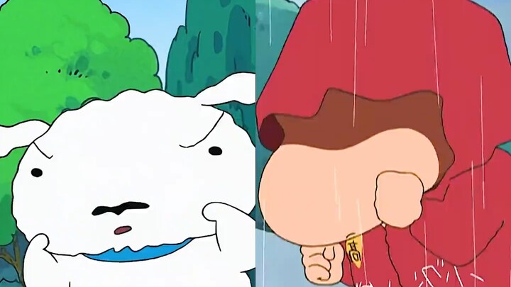不愧是概念神的宠物