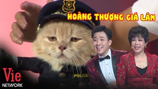 Mèo "Hoàng Thượng" Cực Thần Thái Đốn Tim Trấn Thành Và Việt Hương l Người Bí Ẩn Mùa 6