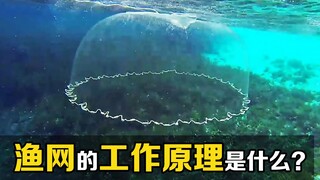 How do fishing nets work? Why are they able to catch fish even though the bottom is empty?
