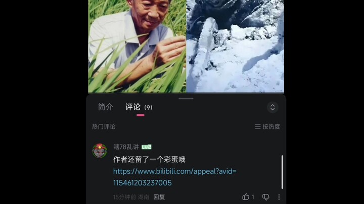 Are some people really still Chinese?