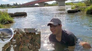 Đi Mò Cua Bắt Cá và Bắt con Cáy | út đạt | Cuộc Sống Nhật | # 301