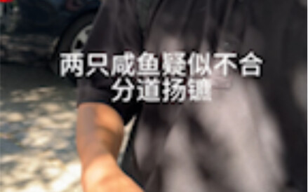 惊了！两只咸鱼疑似不合！