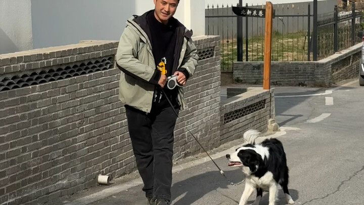 เจอสุนัขพันธุ์ต่างๆ เวลาพาไปเดินเล่น แต่ละตัวมีปฏิกิริยาอย่างไร?